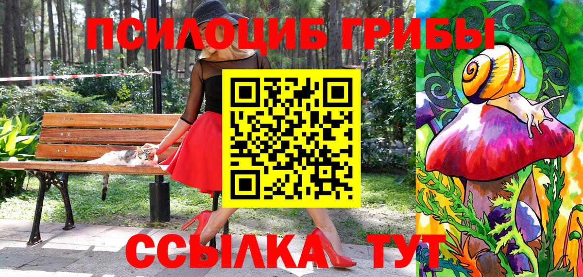 Тихвин  Псилоцибиновые грибы Psilocybine cubensis  Вход с VPN 