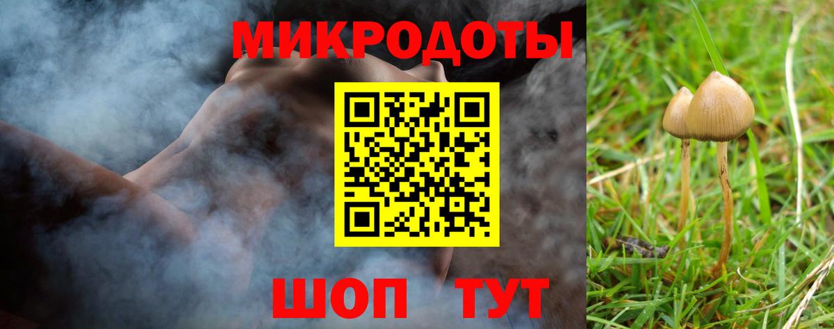 Псилоцибиновые грибы прущие грибы Тихвин