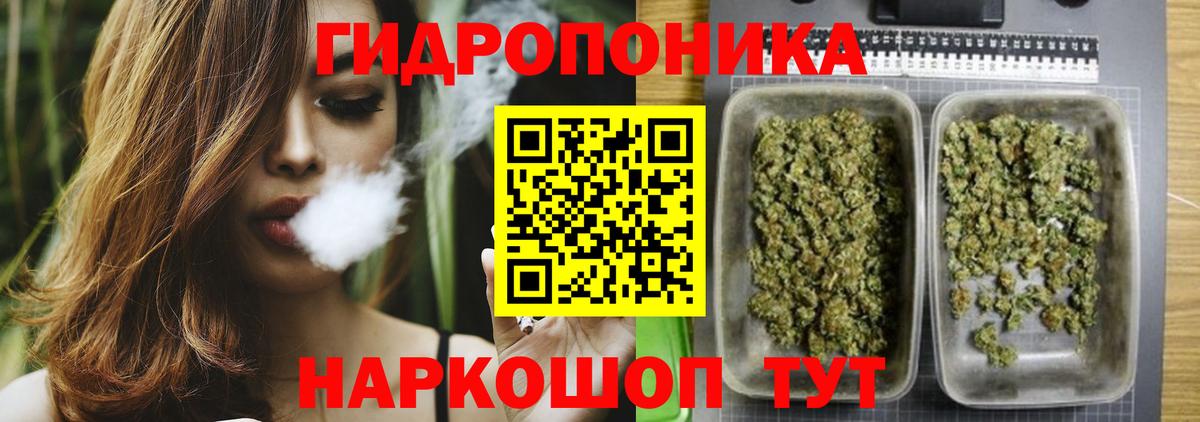 Бошки марихуана конопля  Вход с VPN  Каннабис план  Шишки марихуана Ganja  Тихвин 